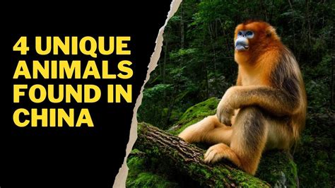 what are some animals found in china